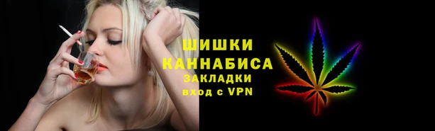 прущие грибы Аркадак