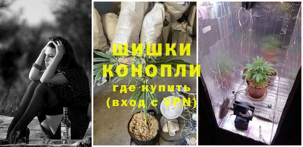 прущий лед Арсеньев