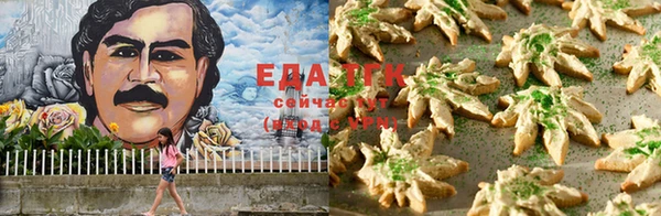 прущие грибы Аркадак